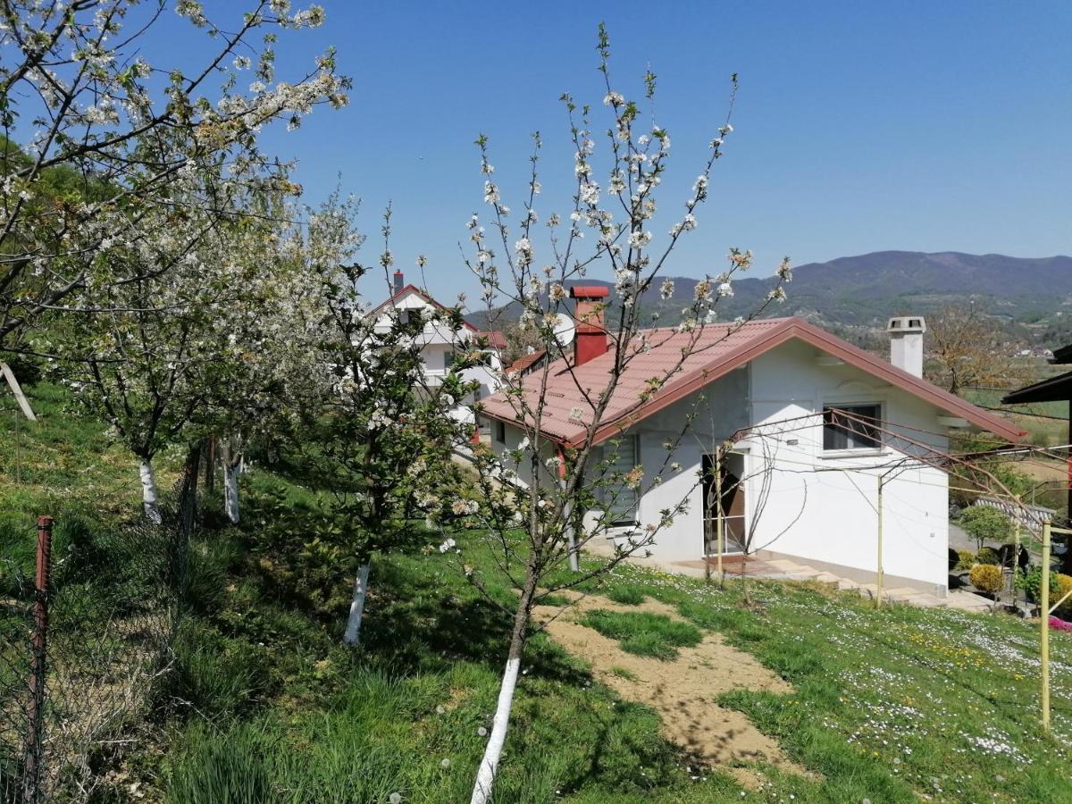 Apartman Lara Krapina Bagian luar foto